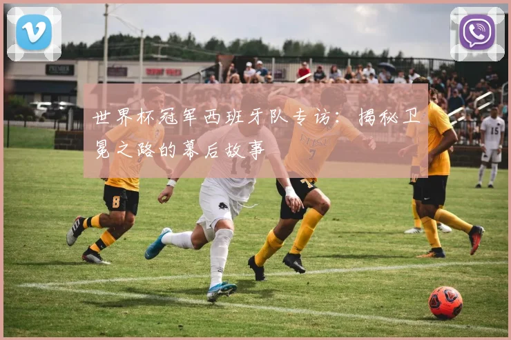 世界杯冠军西班牙队专访：揭秘卫冕之路的幕后故事