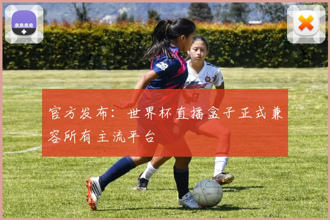 官方发布：世界杯直播盒子正式兼容所有主流平台