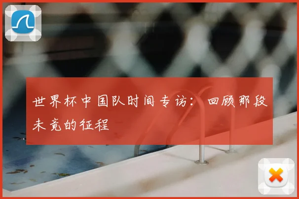 世界杯中国队时间专访:回顾那段未竟的征程
