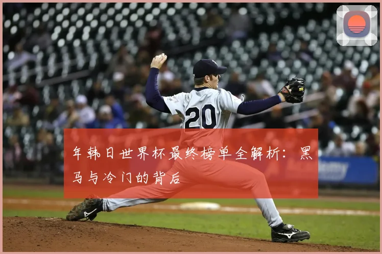年韩日世界杯最终榜单全解析：黑马与冷门的背后