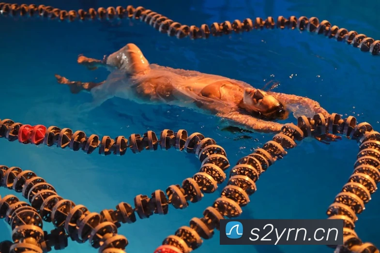 leyu乐鱼APP 封面图